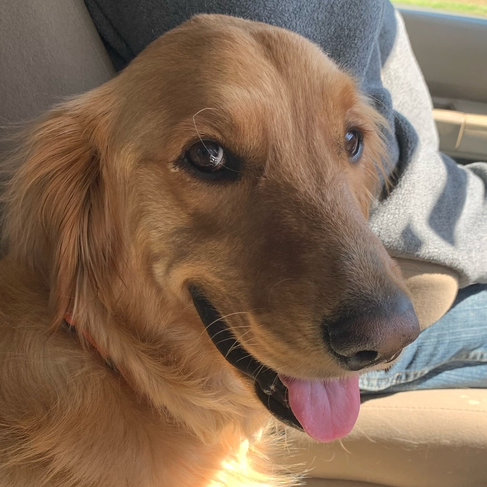 Meet your Posher, Tina